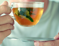 Kidney Stones Remedy Phyllanthus Niruri Tea